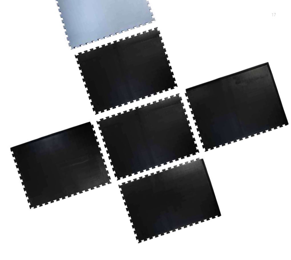 Ergolastec Reference 14